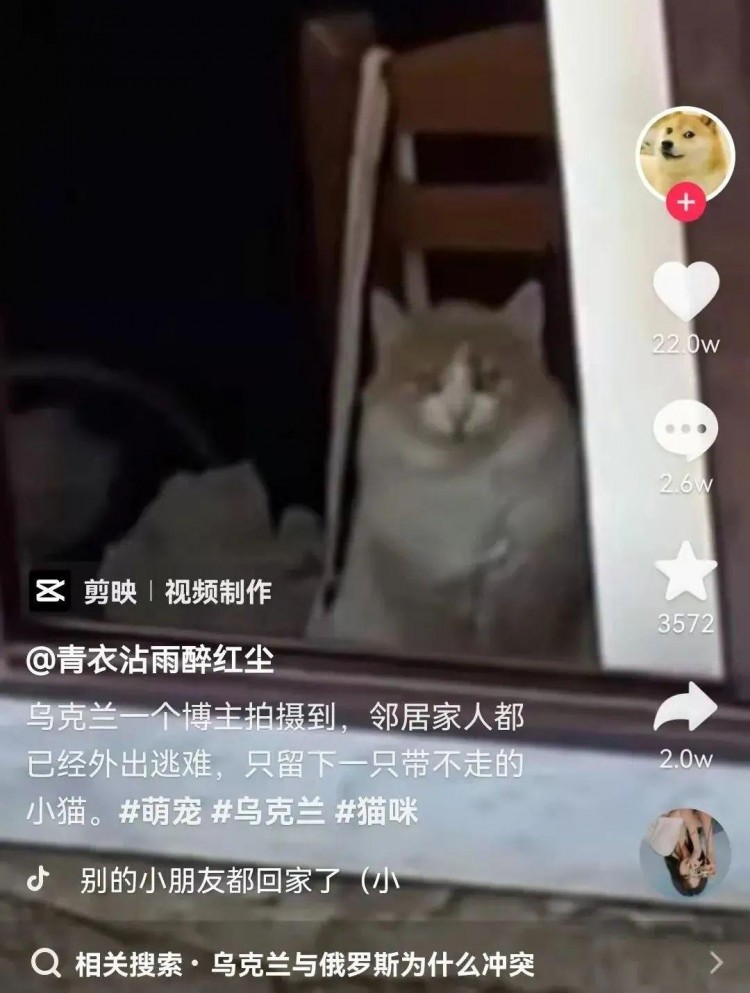 少女怀抱猫咪避难：不管发生什么我都不会丢下你…