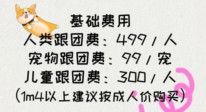 杭州到湖州首辆狗狗巴士即将上线跟团费99元起